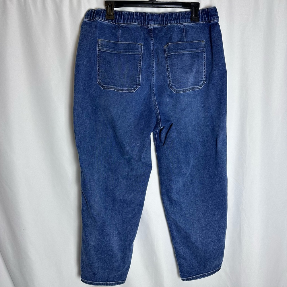 Madewell Pull-On Relaxed Jeans Drawstring Waistband High Waisted Large Hi Rise - Picture 3 of 12